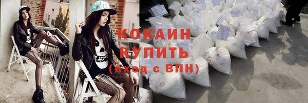 индика Кущёвская